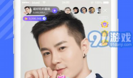 国外的91直播,揭秘海外直播产业的魅力与挑战